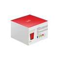 Carica l'immagine nel visualizzatore della galleria, Set 2 Bucchieri in Acrilico WD-Lifestyle 370ml (Linea New York) - Trasparente