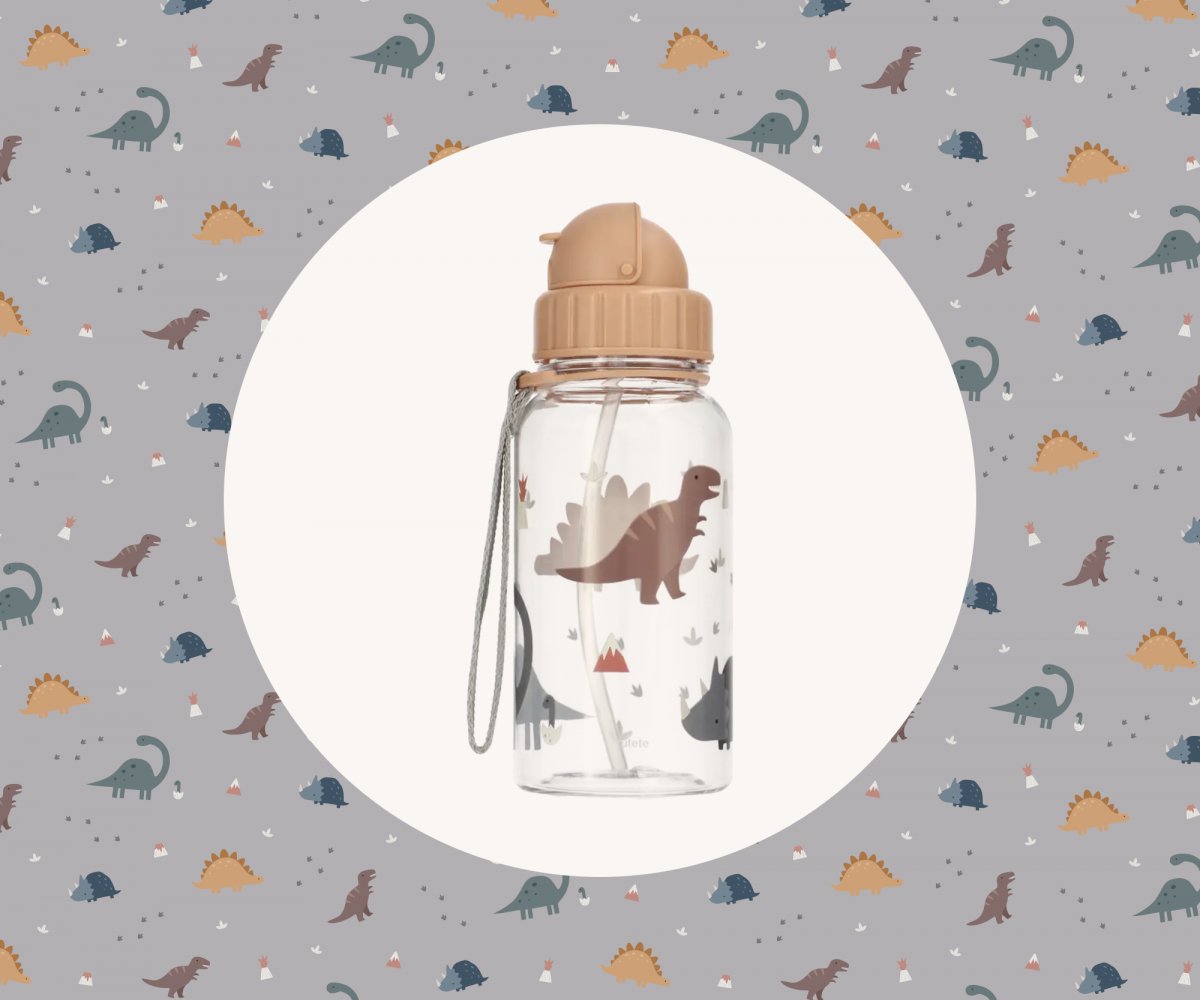 Borraccia in Plastica Tutete Dinos World 500 ml