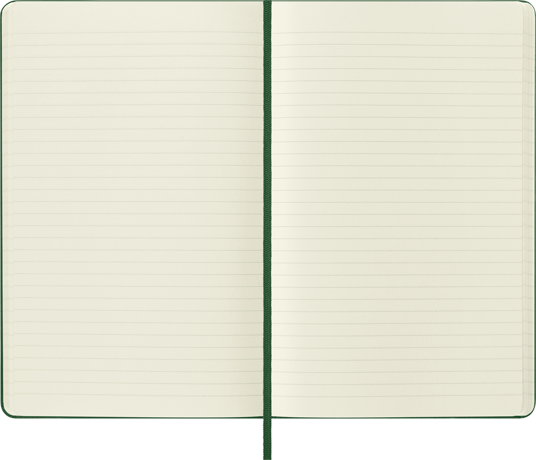 Moleskine Classic Large a righe copertina rigida verde mirto