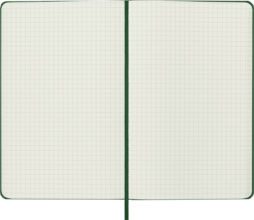 Moleskine Classic Large a quadretti copertina rigida verde mirto