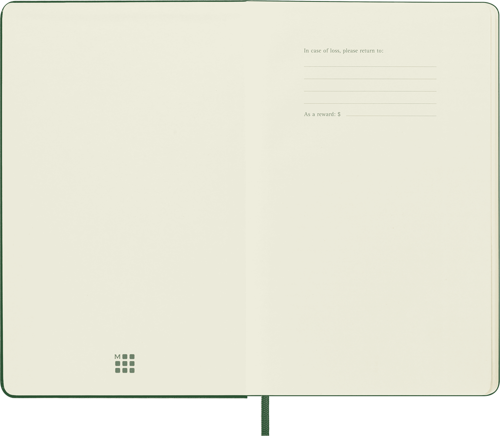 Moleskine Classic Large puntinato copertina rigida verde mirto