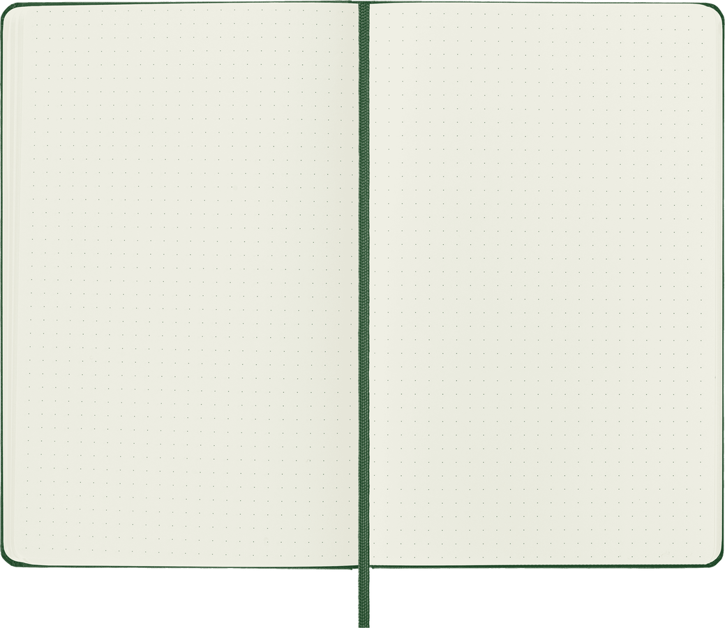 Moleskine Classic Large puntinato copertina rigida verde mirto