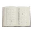 Carica l'immagine nel visualizzatore della galleria, Agenda 12 Mesi 2027 Paperblanks Maxi Verticale - Carlo Collodi, Pinocchio
