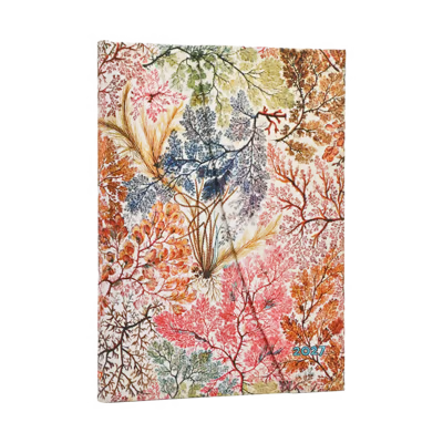 Agenda 12 Mesi 2027 Paperblanks Midi Verticale - Anemone (William Kilburn)