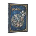 Carica l'immagine nel visualizzatore della galleria, Agenda 12 Mesi 2027 Paperblanks Midi Verticale - Leggende di Hogwarts (Harry Potter)
