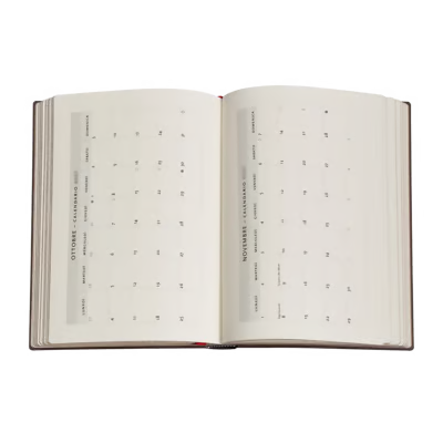 Agenda 12 Mesi 2027 Paperblanks Midi Flexi Settimanale - Salice Blu (Celebrazione dell'Hanfu)