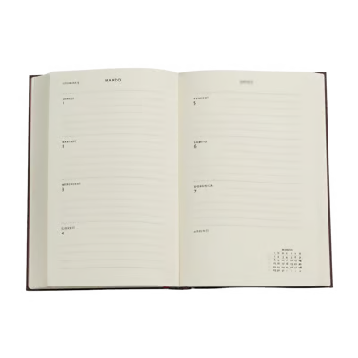 Agenda 12 Mesi 2027 Paperblanks Maxi Flexi Settimanale - San Pietroburgo (Paesaggi Urbani di Lentulov)