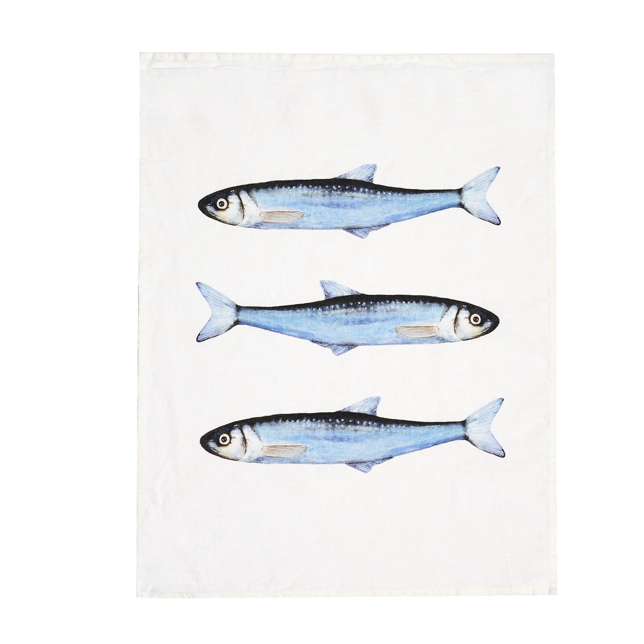 Canovaccio Sardine