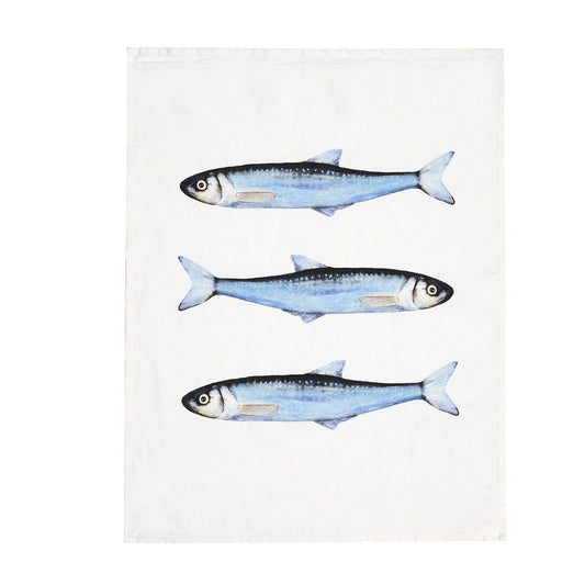 Canovaccio Sardine
