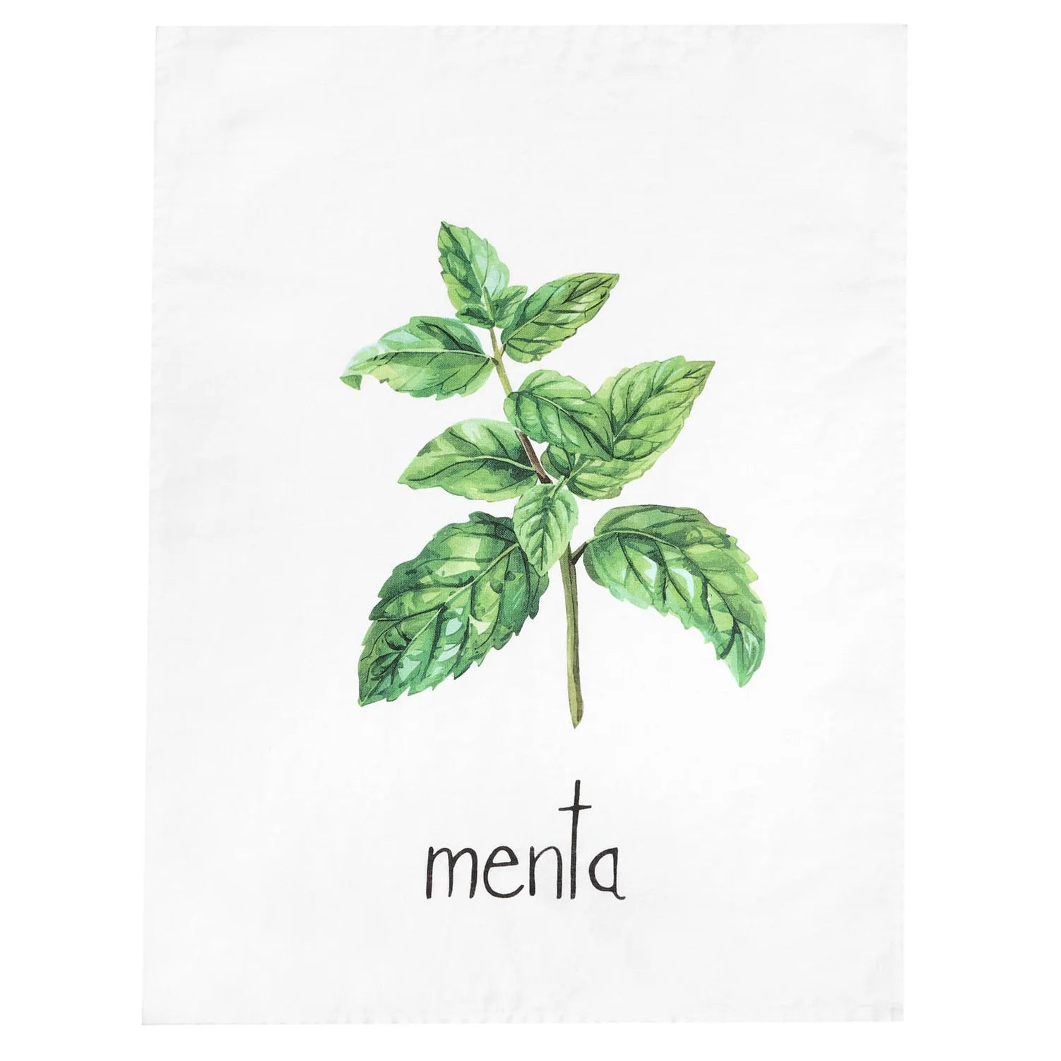 Canovaccio Menta