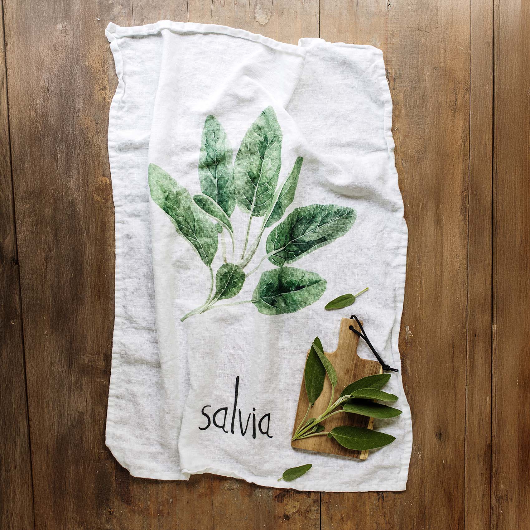 Canovaccio Salvia