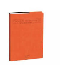 Agenda del Professore Quo Vadis Maxi (21x27 cm) – Edizione Roma, Rosa Corallo