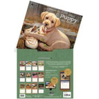 Calendario da Parete LANG "Puppy" 2027 – Illustrazioni di Jim Lamb e Susan Knowles Jordan