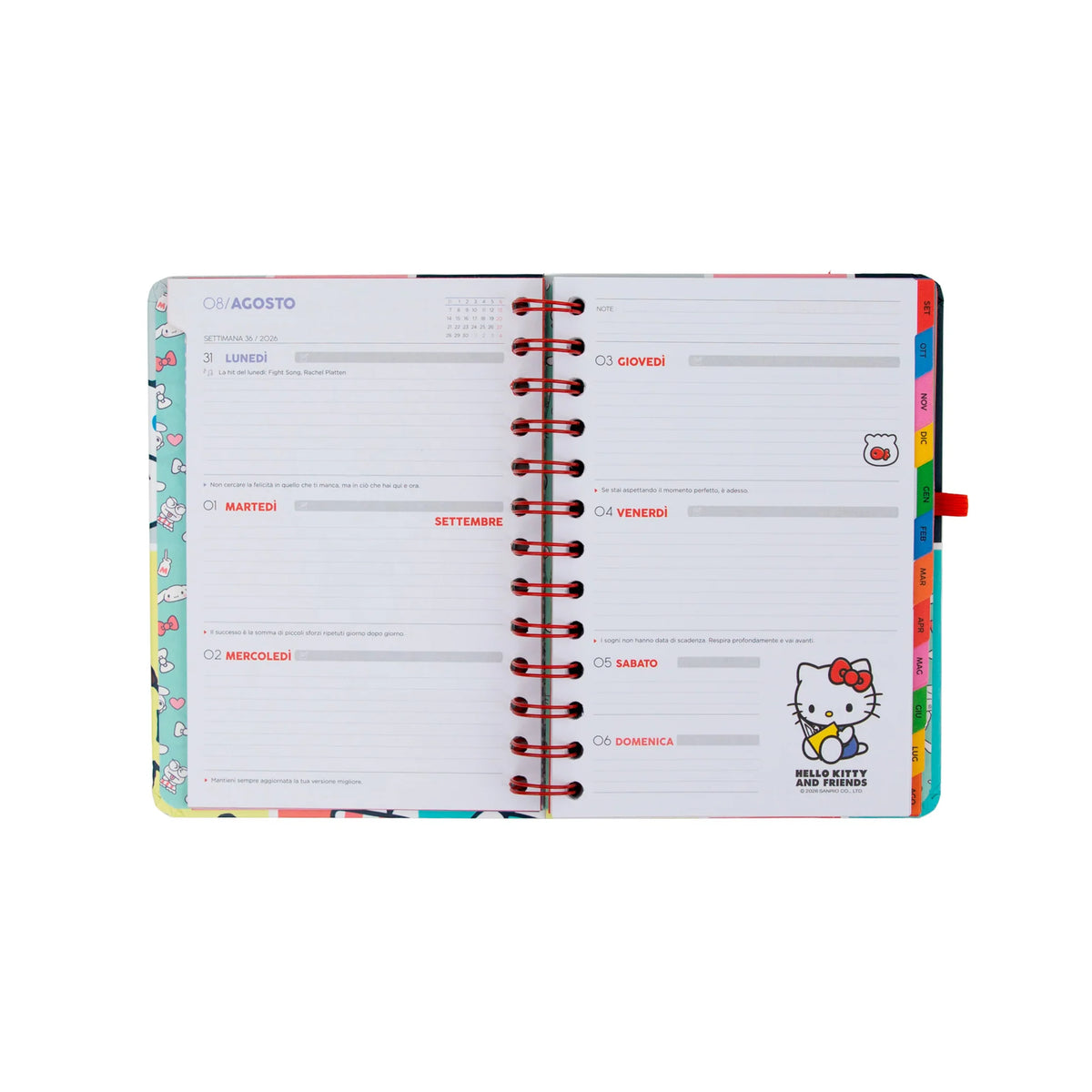 Set diario scolastico Mr. Wonderful piccolo 2026-27 Settimanale + 3 penne cancellabili Bo-Bo - Ready